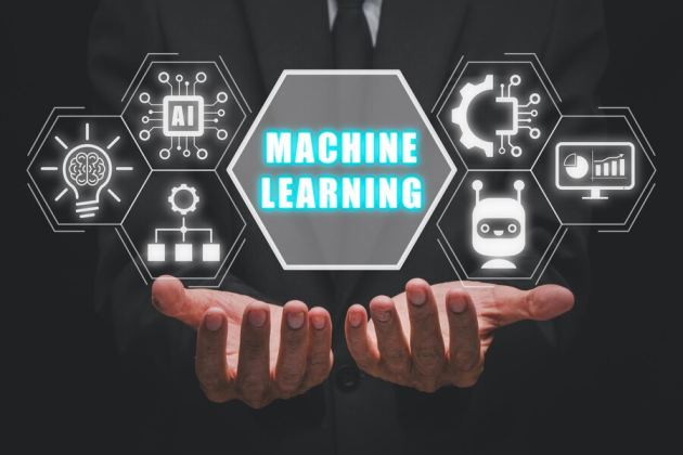 Machine Learning as a Service (MLaaS)