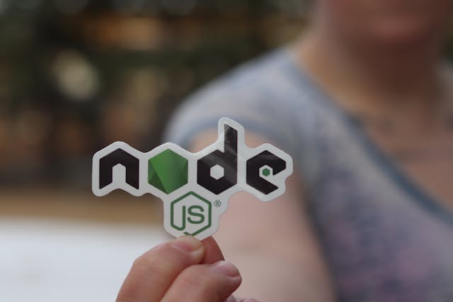 Looking for the best Node.js development companies in the USA? Explore our detailed list of the top 15 firms in 2025, covering headquarters, founding year, employee count, completed projects, and reference customers. Find the right partner for your next project!
